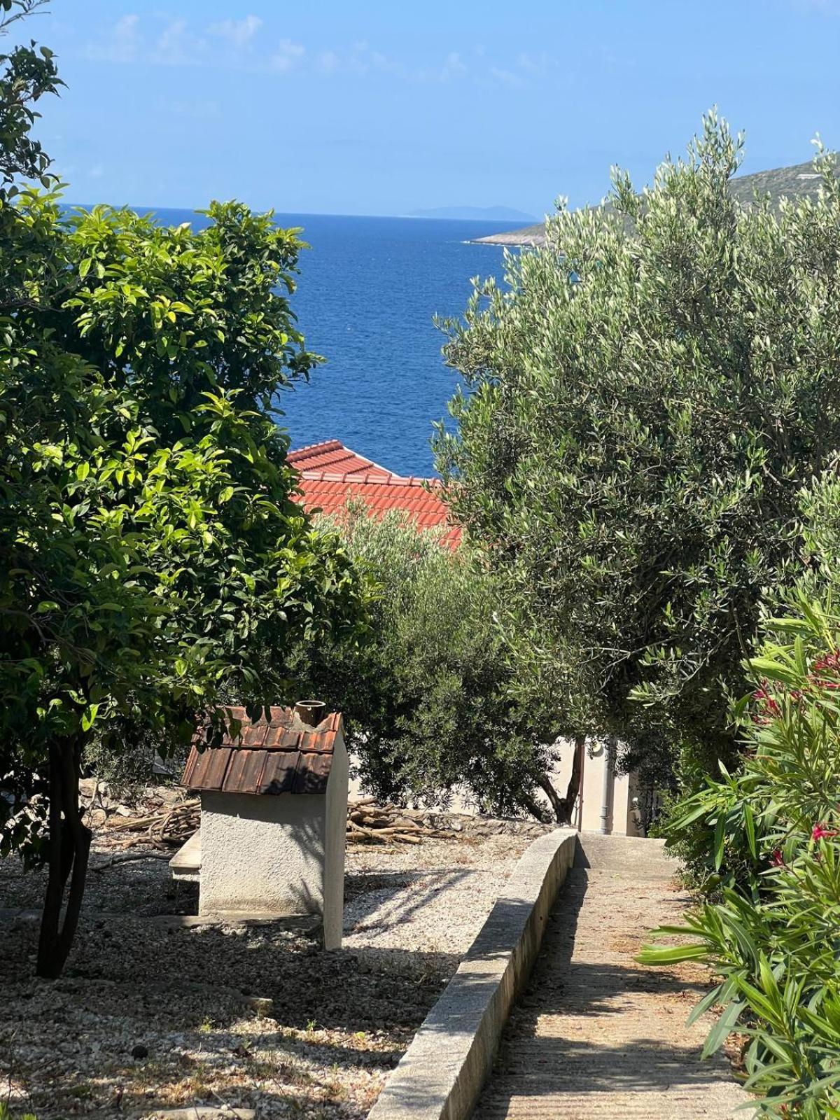 Meerblick Mit Traumterrasse *